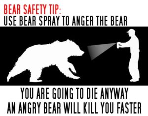 bear-spray-origonal-300x236.jpg