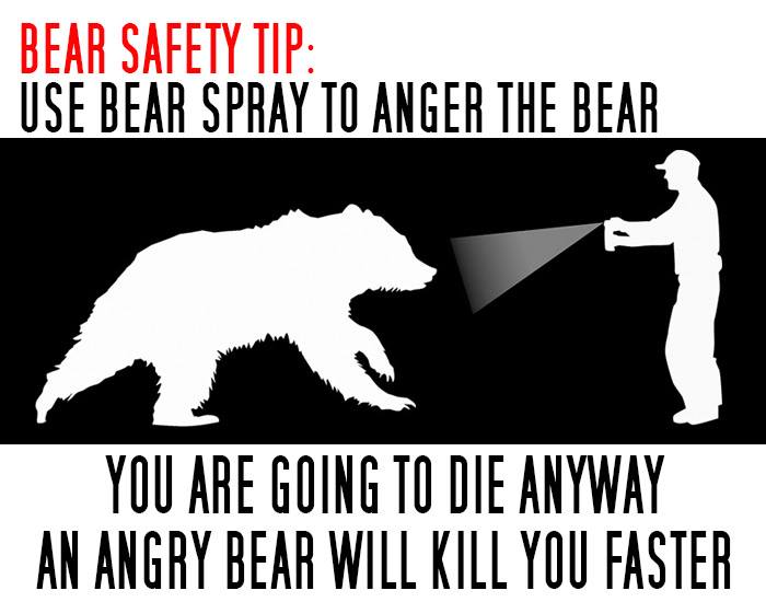 bear-spray-origonal.jpg