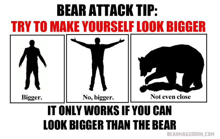 Here's a Bear Attack Myth You Need to Let Go of Right Now