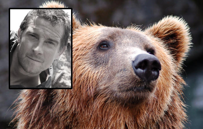 Grylls dead bear Bear Grylls