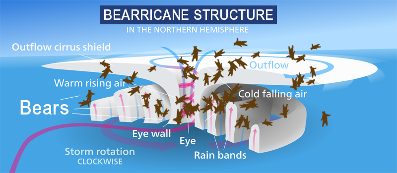 bearricane-structure