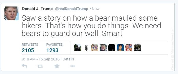 Trump's insensitive bear tweet