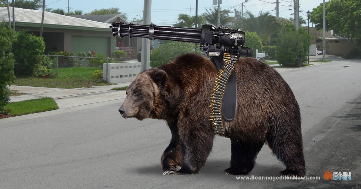 Where to shoot a bear with a pistol