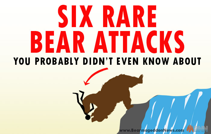 bear writer synching bear writer synching