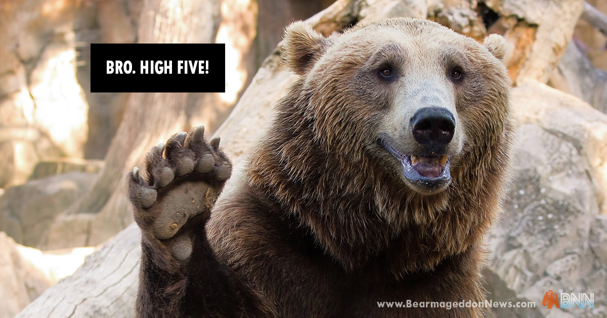 Dept of Fish and Wildlife Releases Statement on High-fiving Bears: