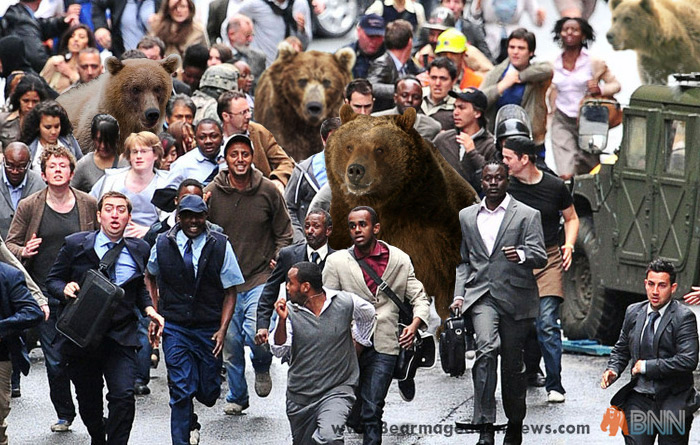 teddy bear run 2020