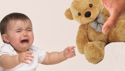 teddy