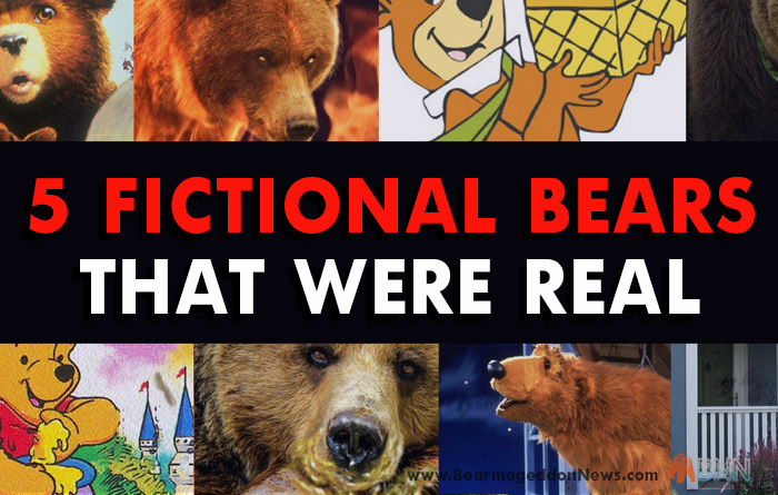 5 Famous Bears And The Shocking Truth Behind Them