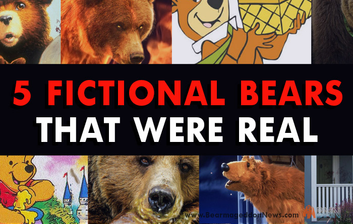 5 Famous Bears And The Shocking Truth Behind Them 5 Famous Bears And The Shocking Truth Behind Them