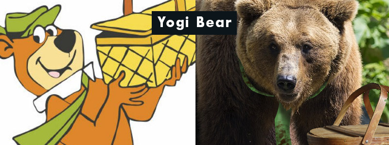 famous-yogi