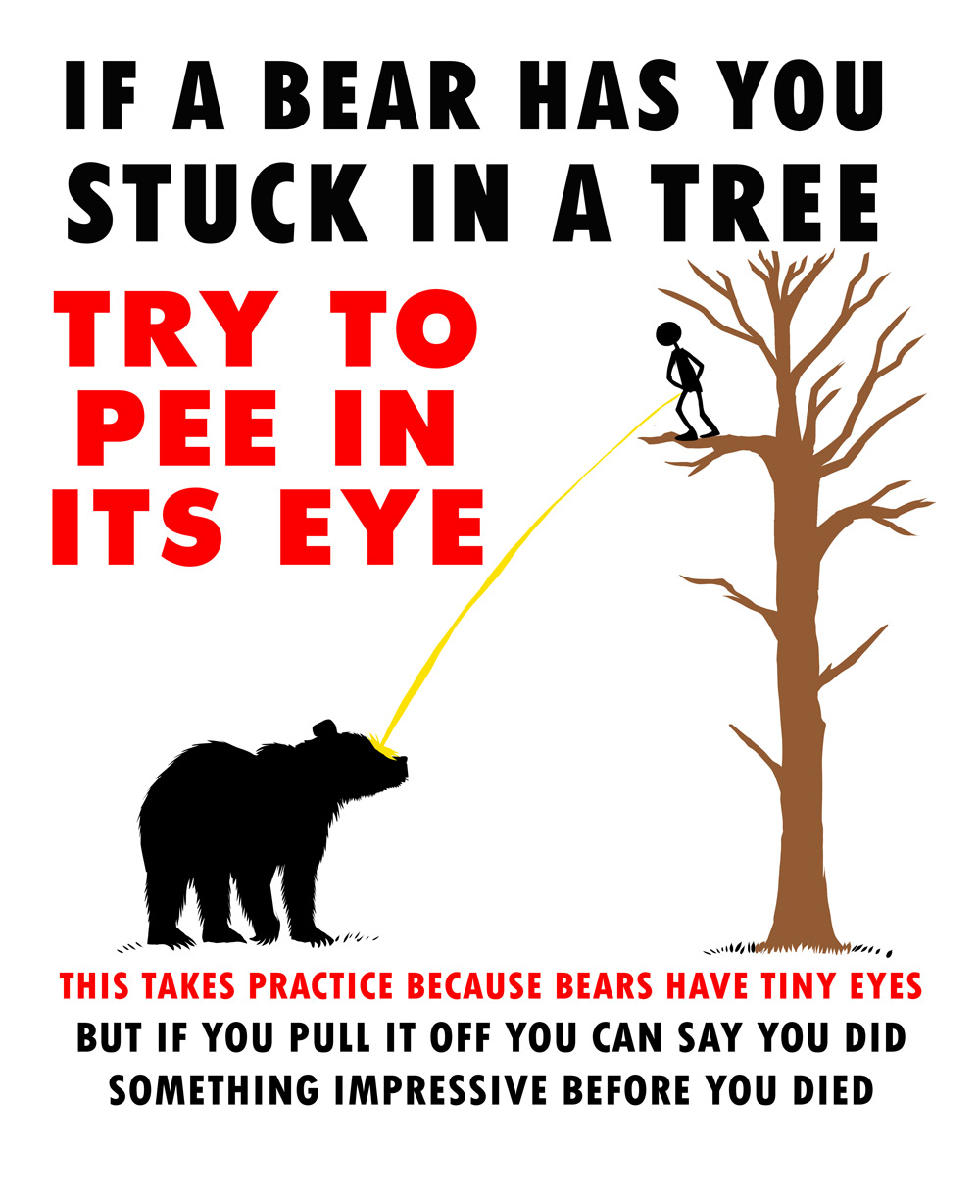 Bear-up-tree-PEEsm.jpg