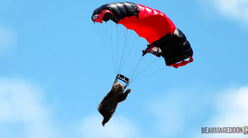 Amazing: Bear Learns To Skydive So He Can Elbow Drop Elk From Plane